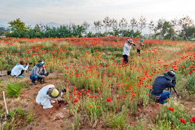 뷰트(사진예술연구회)
